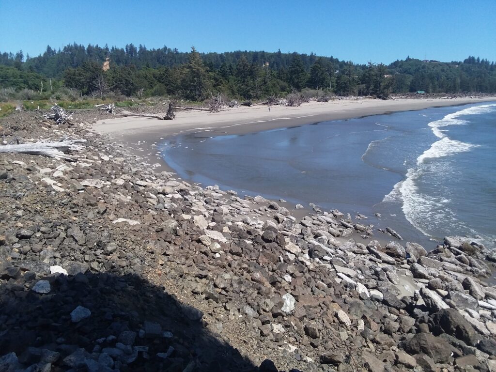 a rocky beach with a body of water and trees in the background (MyCoast AI)