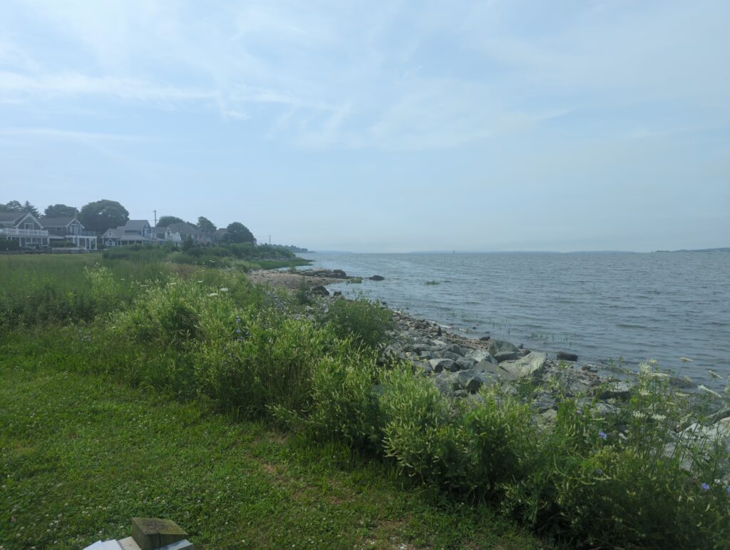 a grassy area next to a body of water (MyCoast AI)