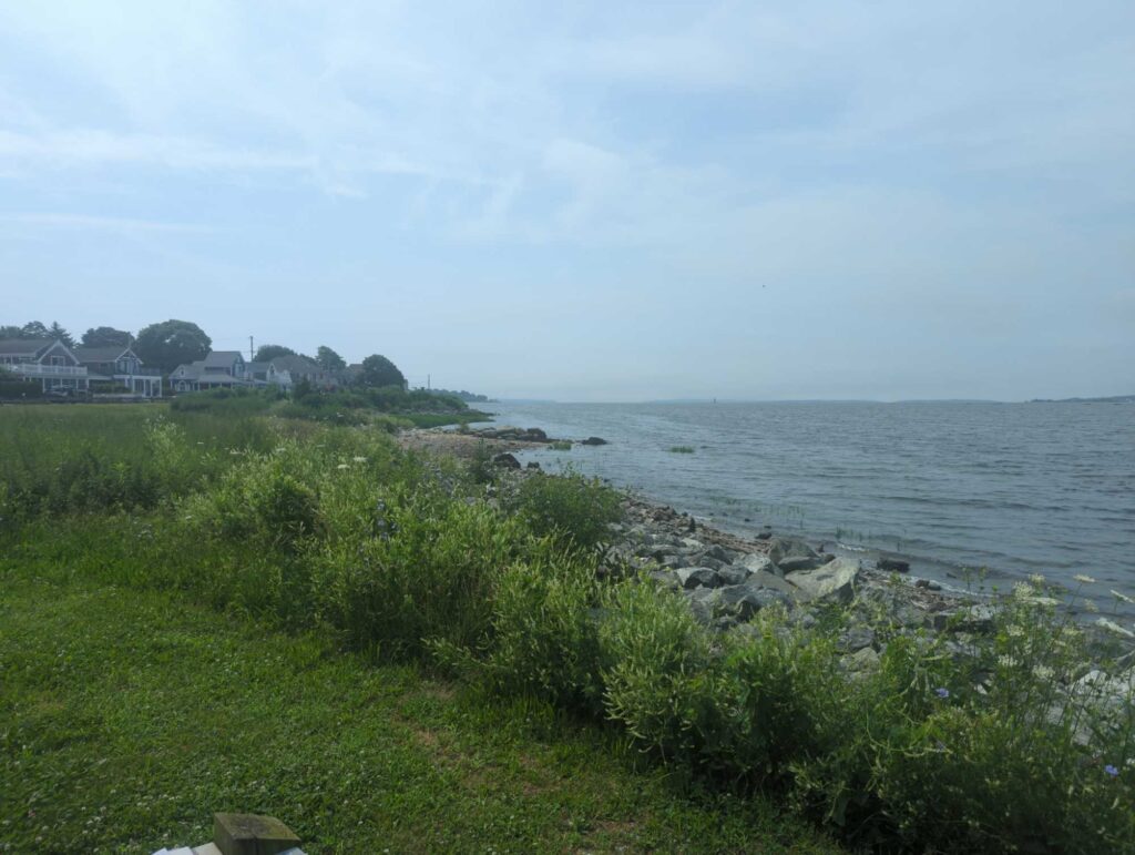 a grassy area next to a body of water (MyCoast AI)