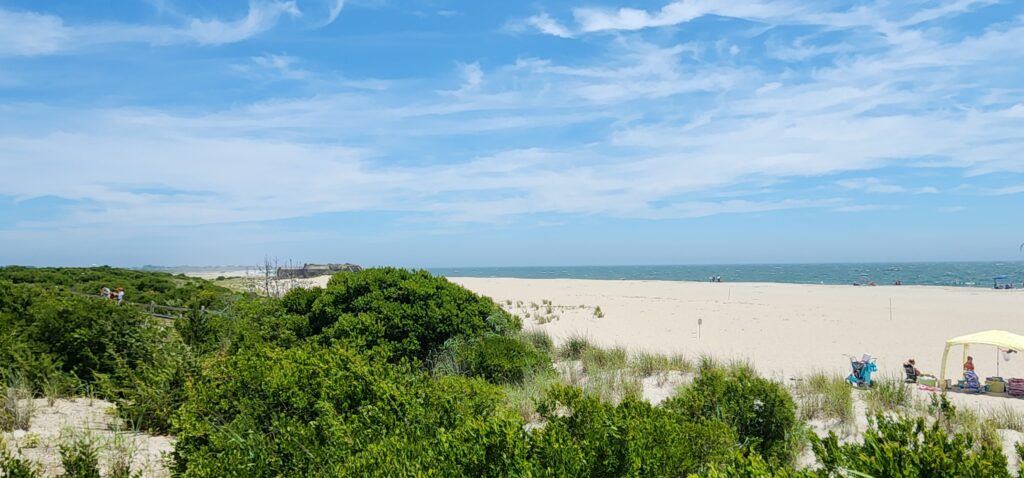 a beach with trees and bushes (MyCoast AI)
