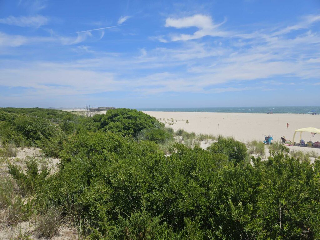 a landscape with trees and a body of water in the background (MyCoast AI)
