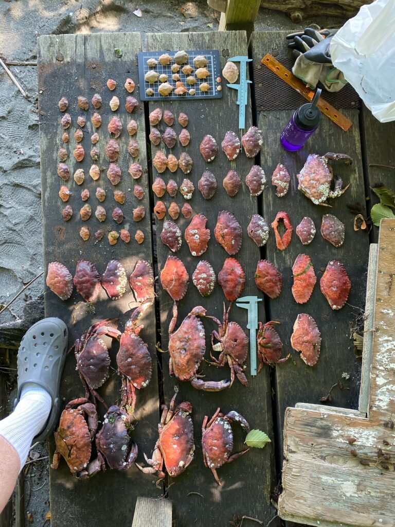 a person holding a knife and a bunch of meat (MyCoast AI)