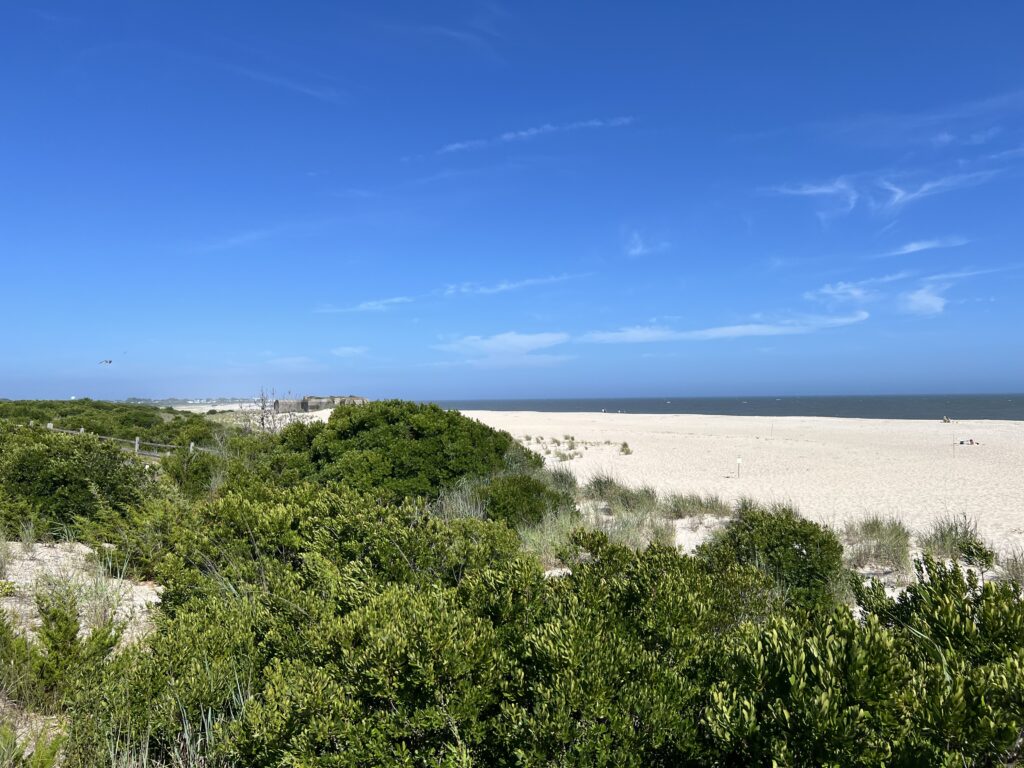 a sandy beach with trees (MyCoast AI)