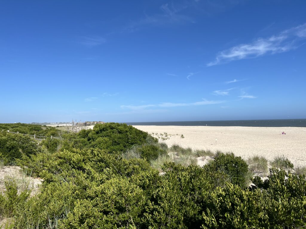 a landscape with trees and bushes (MyCoast AI)