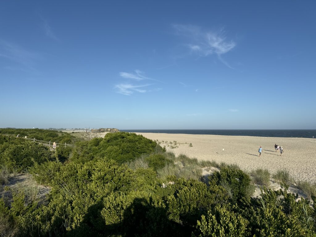 people walking on a beach (MyCoast AI)