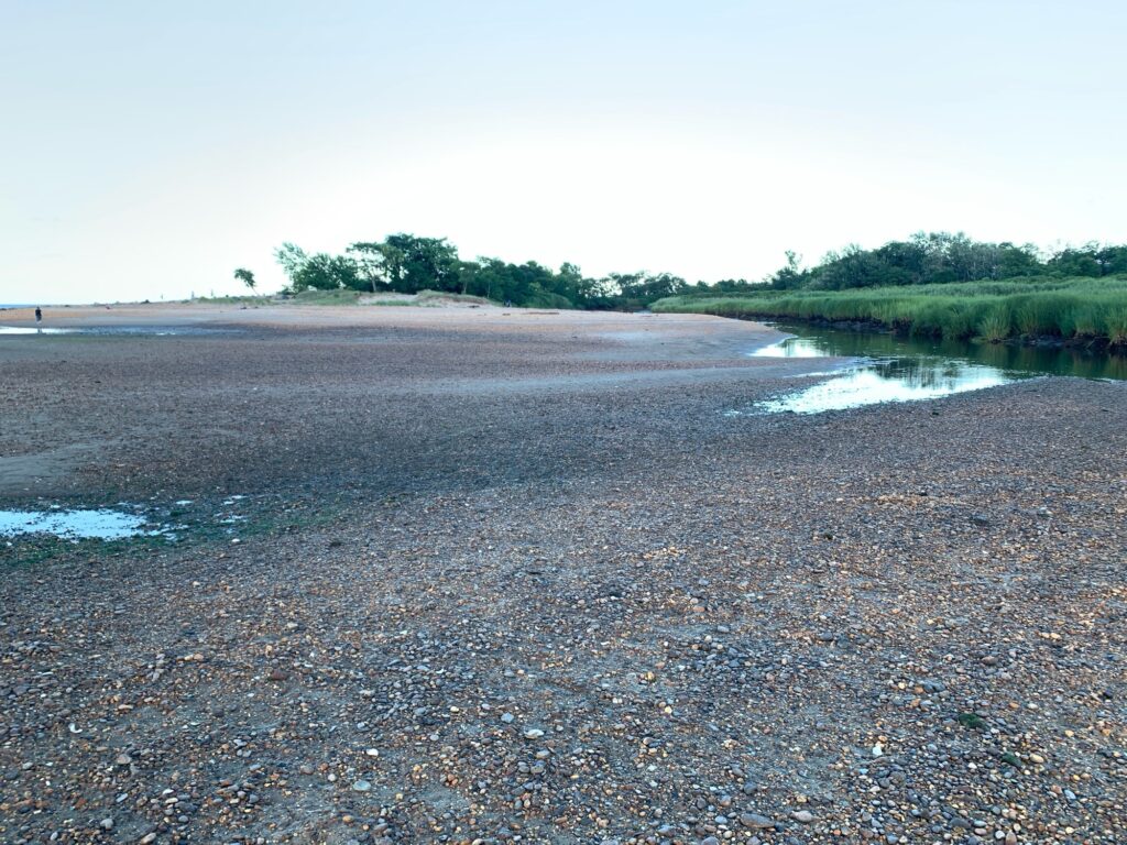 a beach with a body of water (MyCoast AI)