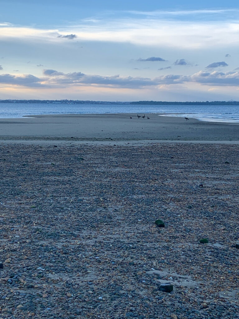 a beach with rocks and water (MyCoast AI)