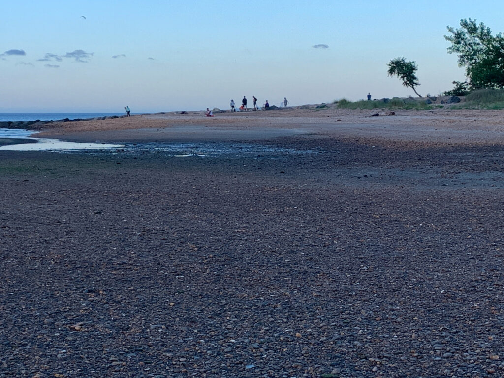 a group of people walking on a beach (MyCoast AI)