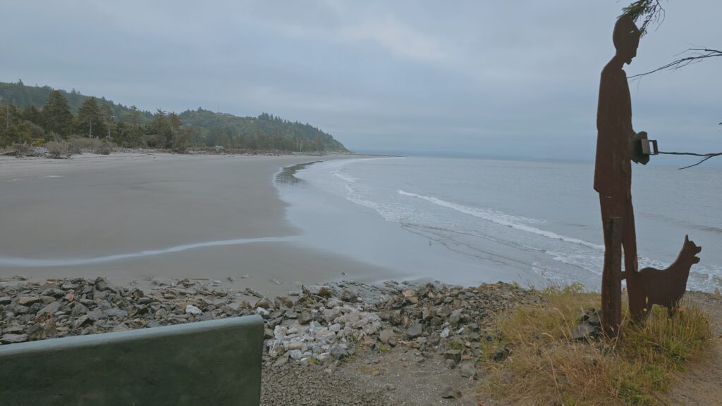 a dog on a rocky beach (MyCoast AI)