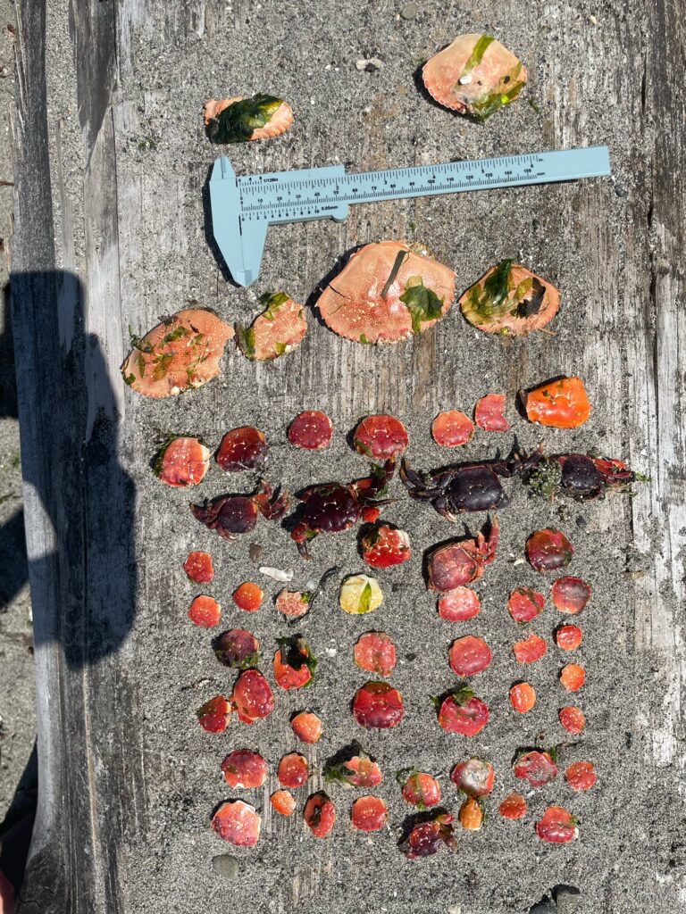 a group of red and white objects on a concrete surface (MyCoast AI)