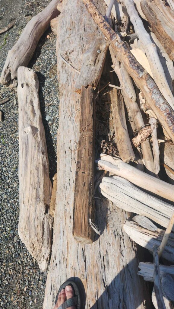 a person's feet on a wooden surface (MyCoast AI)