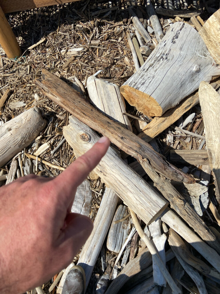 a hand pointing at a pile of wood (MyCoast AI)
