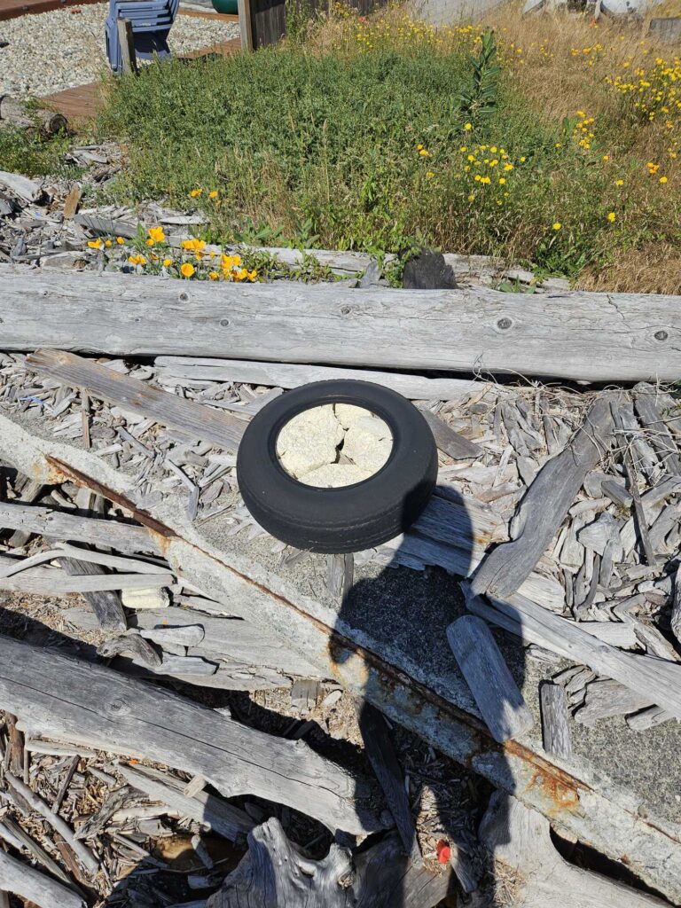 a person holding a tire (MyCoast AI)