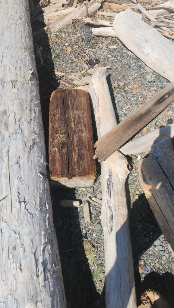 a group of wood pieces (MyCoast AI)