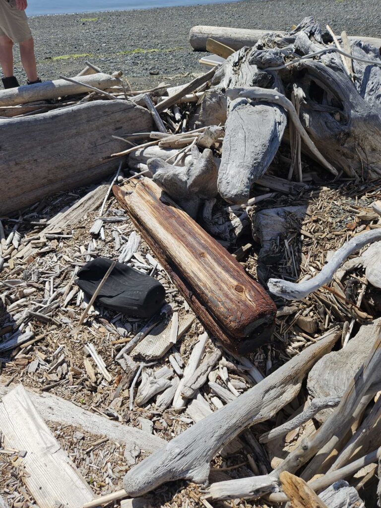 a pile of wood and debris (MyCoast AI)