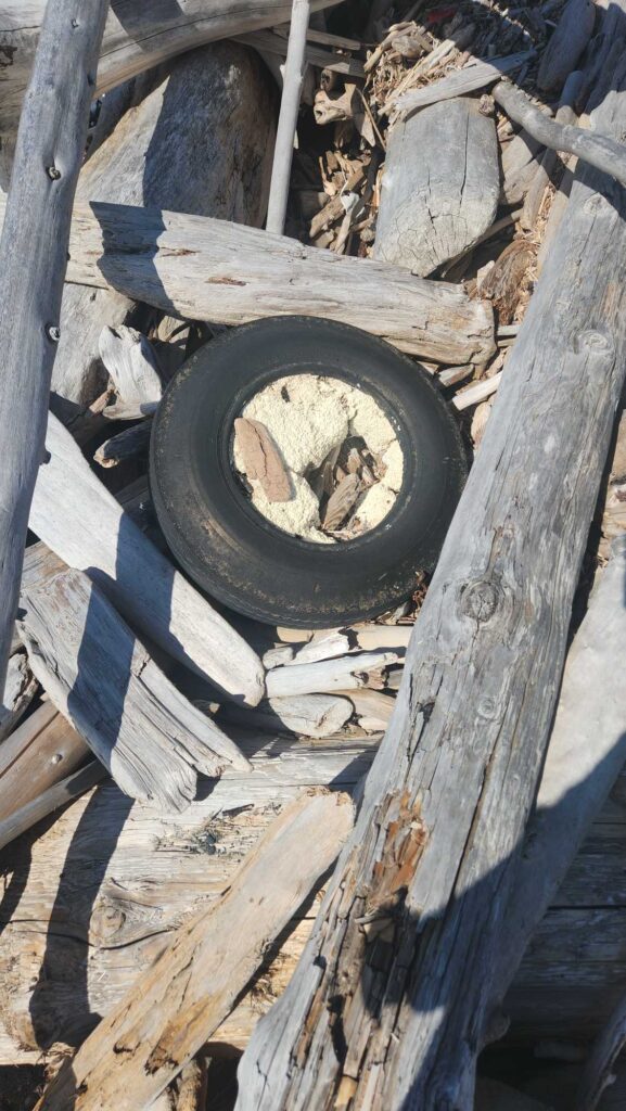 a tire on a wooden surface (MyCoast AI)