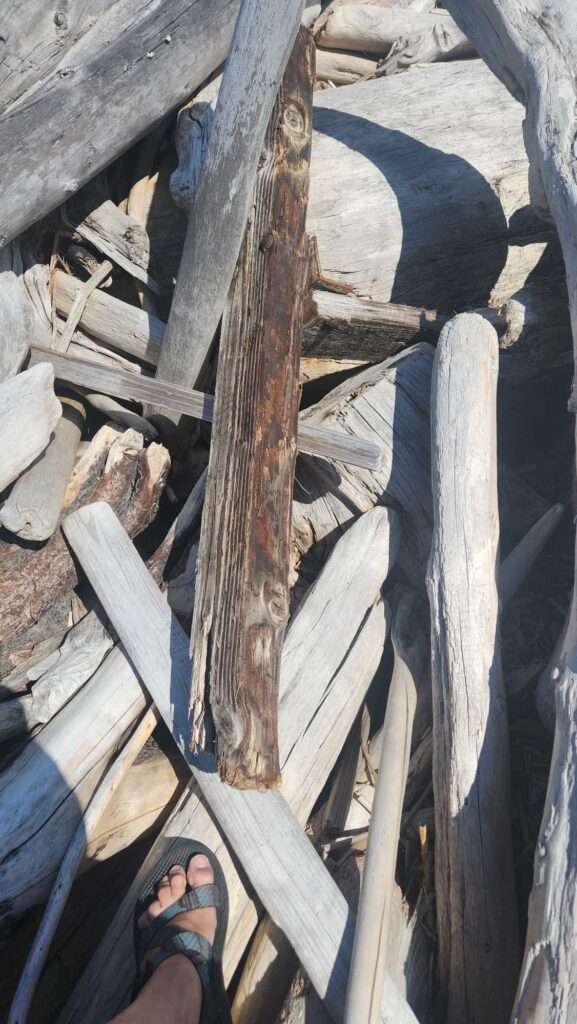 a person's feet on a wooden structure (MyCoast AI)