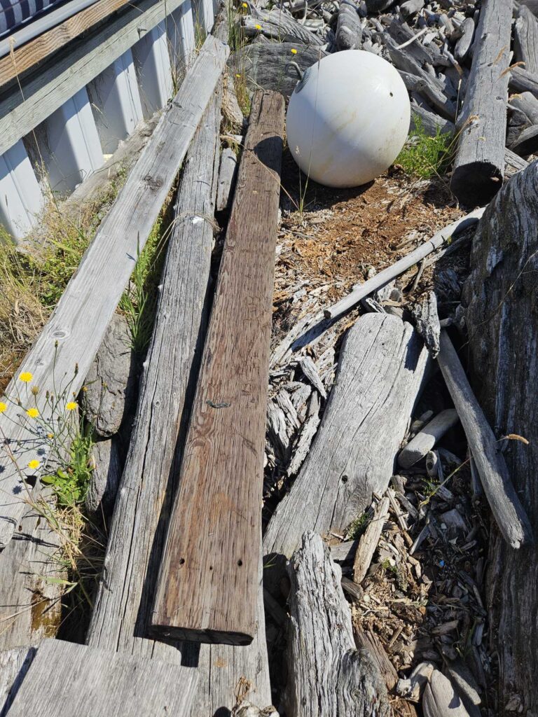 a white ball on a wooden fence (MyCoast AI)