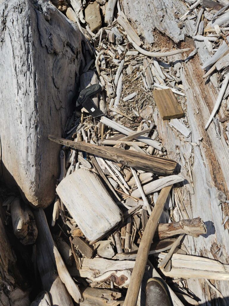 a pile of wood (MyCoast AI)