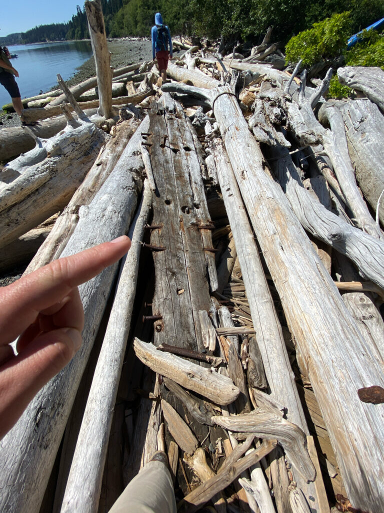 a hand holding a piece of wood (MyCoast AI)