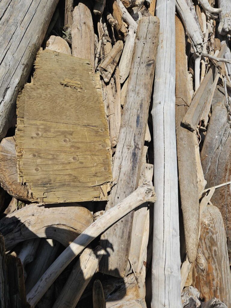 a pile of cut wood (MyCoast AI)