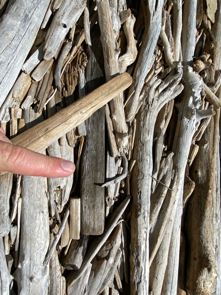 a hand holding a piece of wood (MyCoast AI)