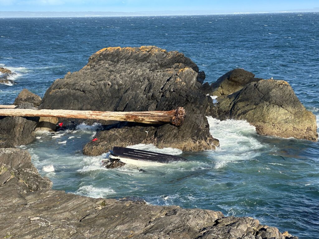 a log on a rock in the water (MyCoast AI)