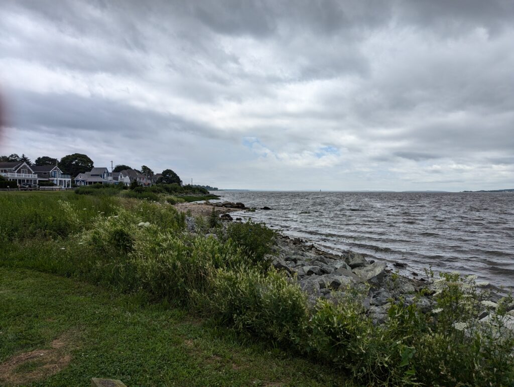 a body of water with grass and buildings along it (MyCoast AI)