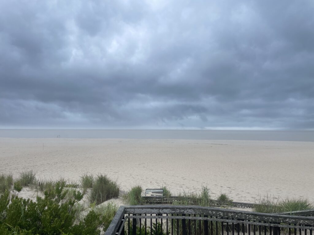 a beach with a fence and bushes (MyCoast AI)