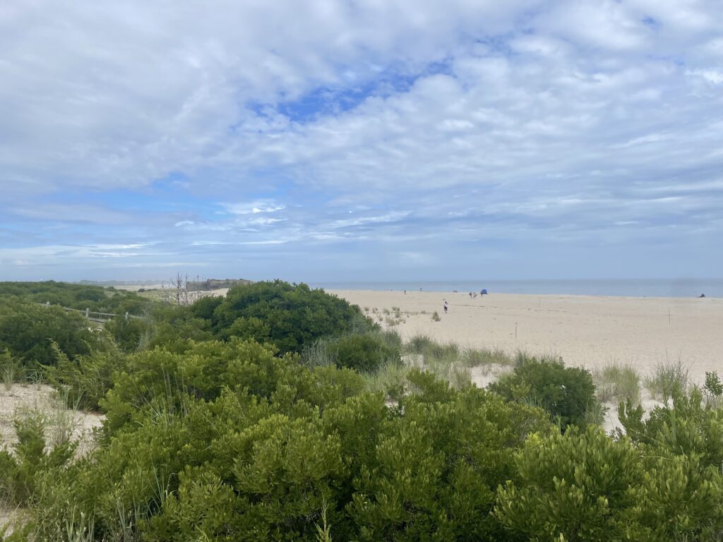 a landscape with trees and bushes (MyCoast AI)