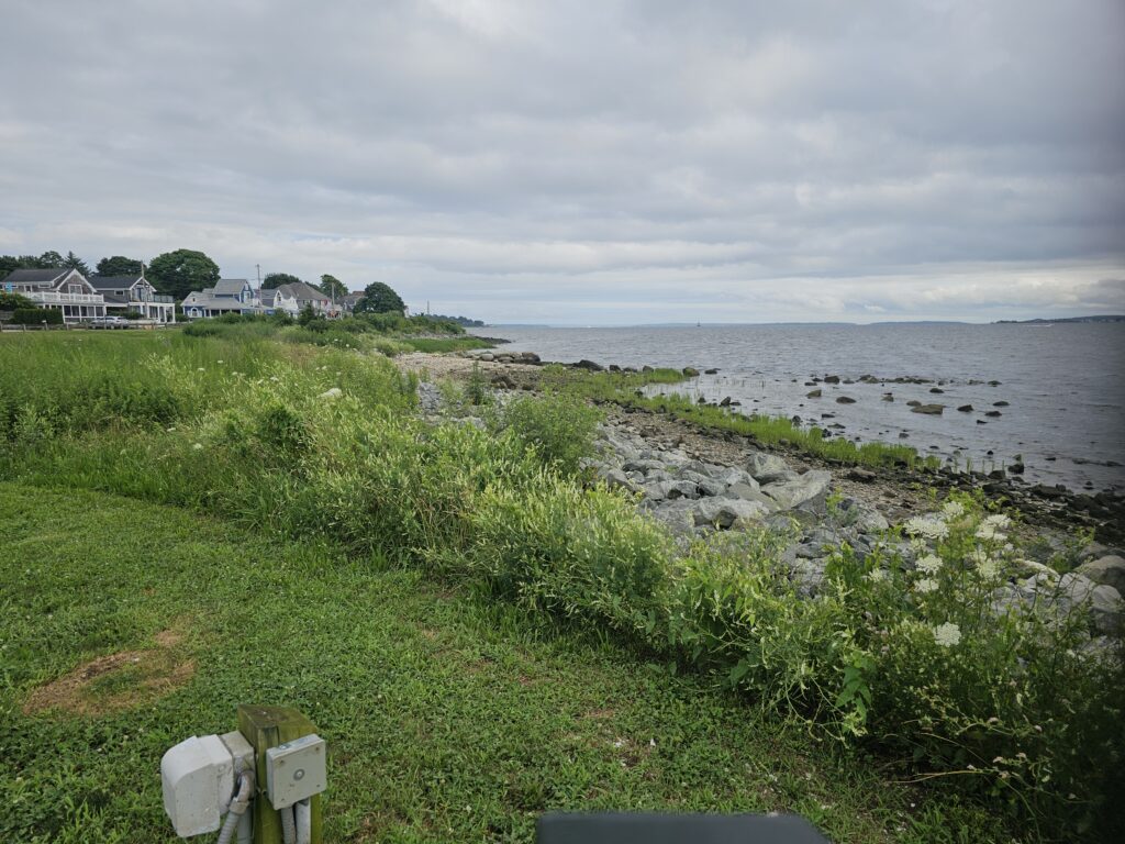 a grassy area next to a body of water (MyCoast AI)