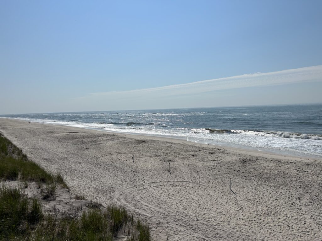 a sandy beach with waves crashing on it (MyCoast AI)