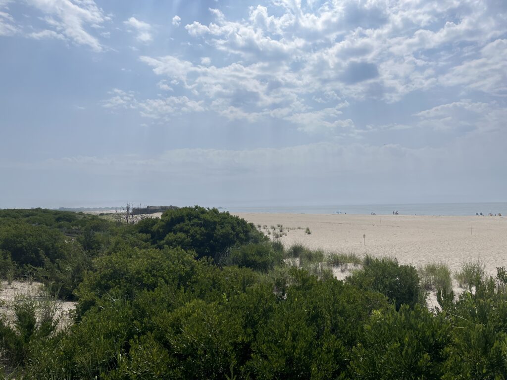 a landscape with trees and a body of water in the background (MyCoast AI)
