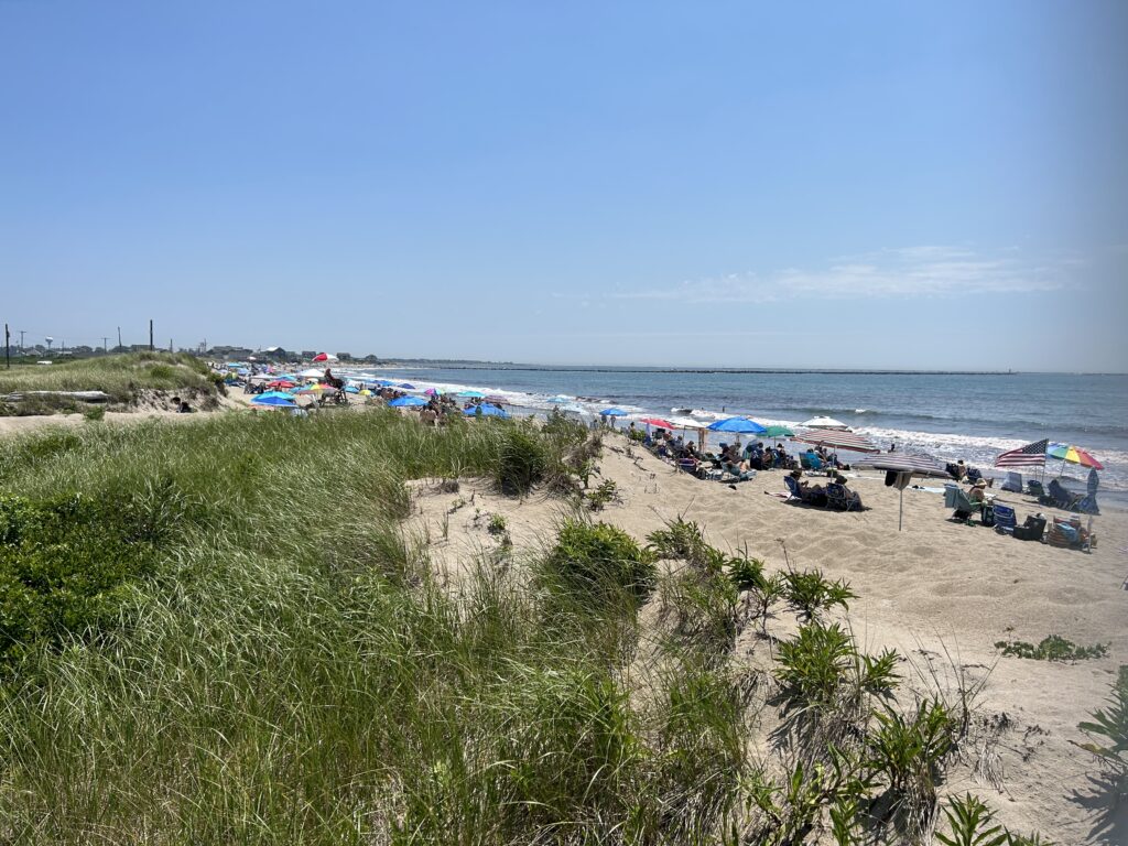 a beach with many people and umbrellas (MyCoast AI)