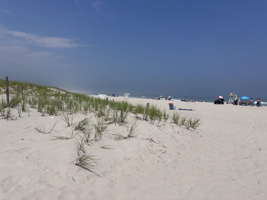 a sandy beach with cars parked on it (MyCoast AI)