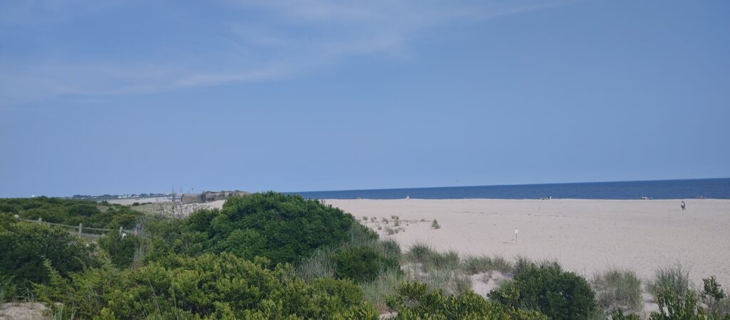 a sandy beach with trees and bushes (MyCoast AI)
