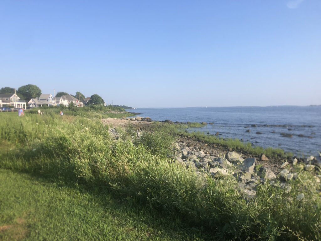 a grassy area next to a body of water (MyCoast AI)