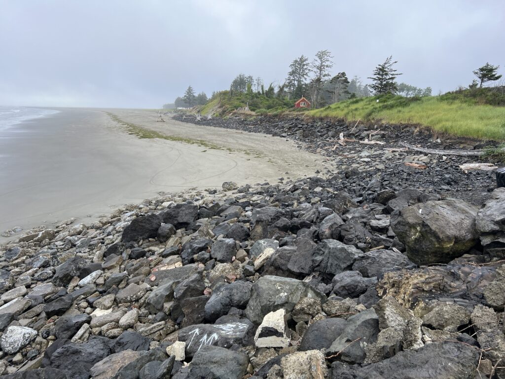 a rocky beach with grass and trees (MyCoast AI)