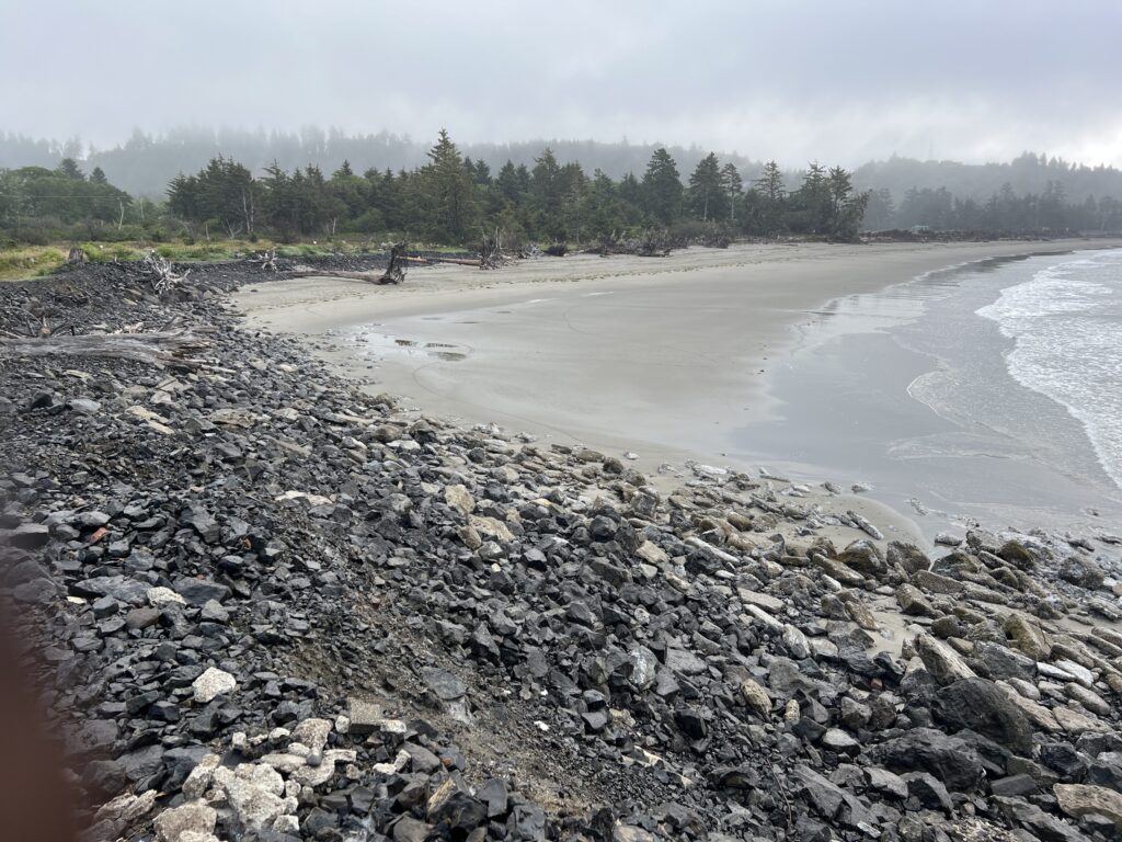 a rocky beach with a body of water in the background (MyCoast AI)