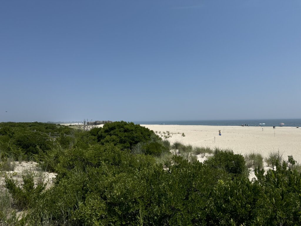 a beach with bushes and trees (MyCoast AI)