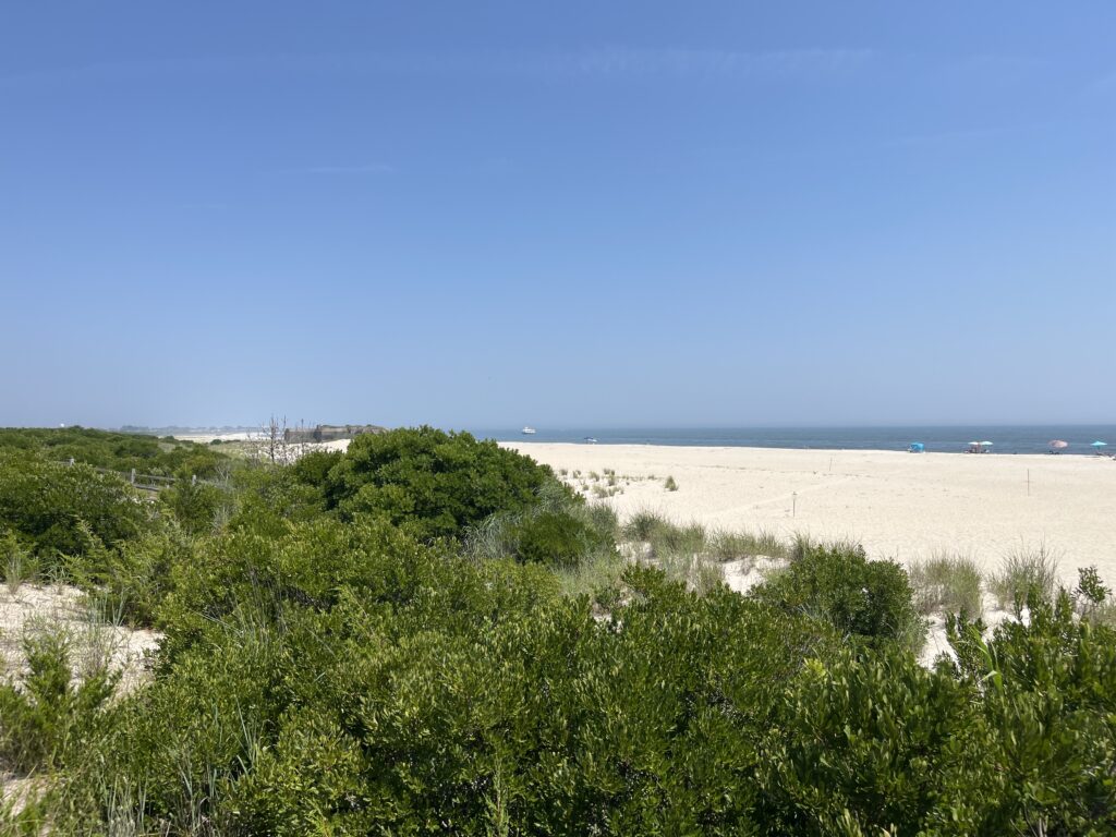 a beach with bushes and trees (MyCoast AI)