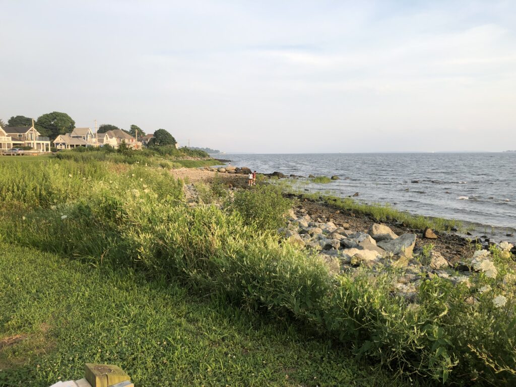 a grassy area next to a body of water (MyCoast AI)