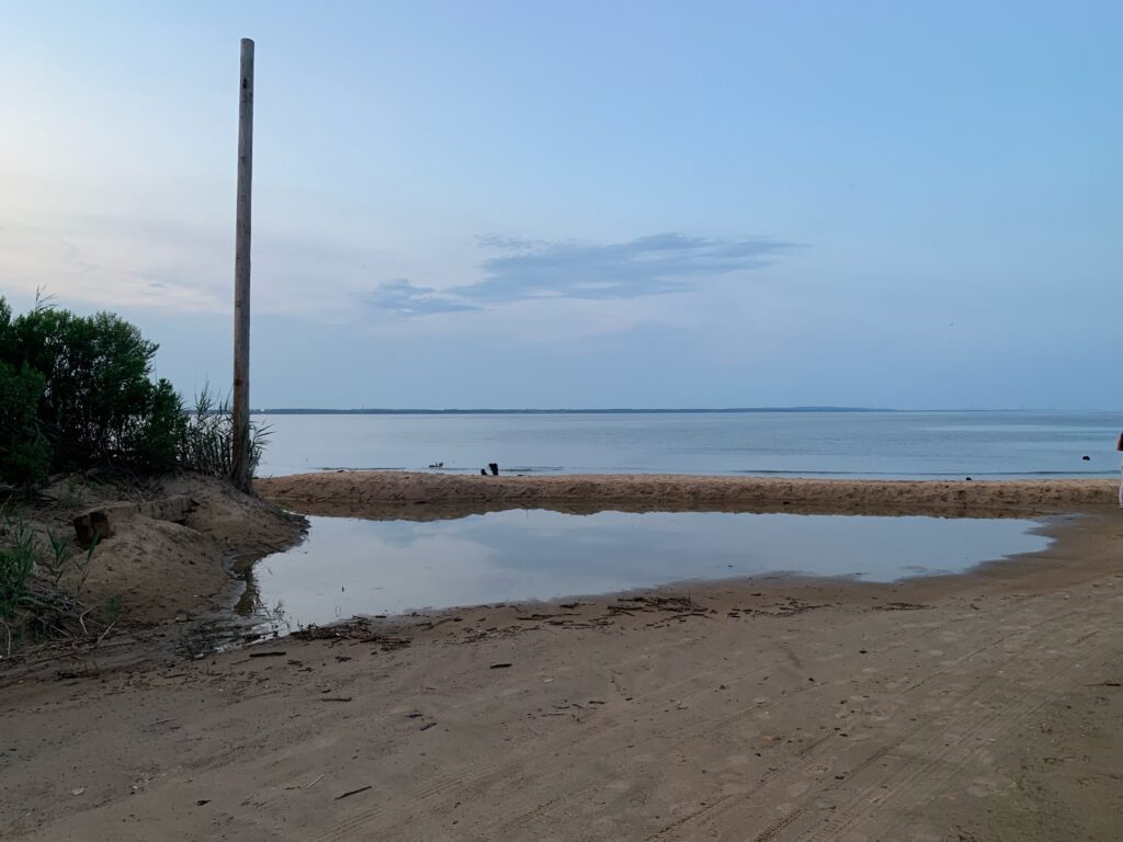a sandy beach with a body of water in the background (MyCoast AI)