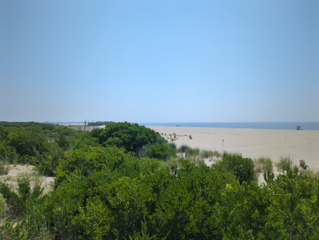 a landscape with trees and a body of water in the background (MyCoast AI)