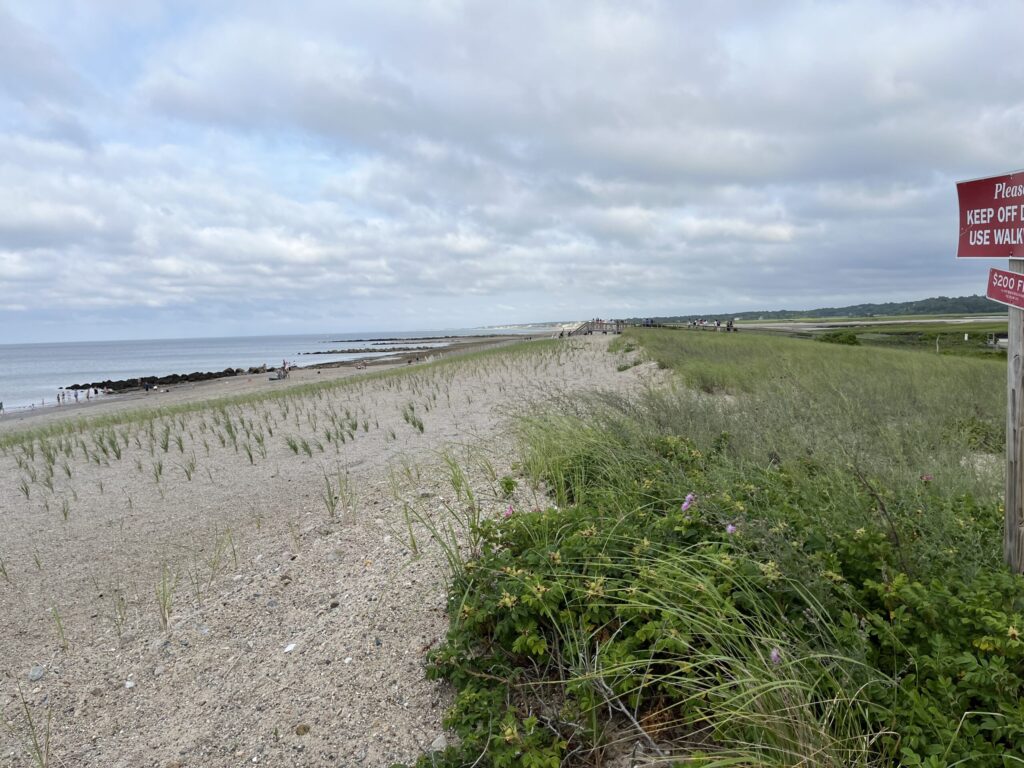 a path next to a beach (MyCoast AI)