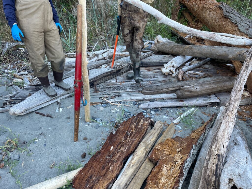 a person cutting down a tree (MyCoast AI)