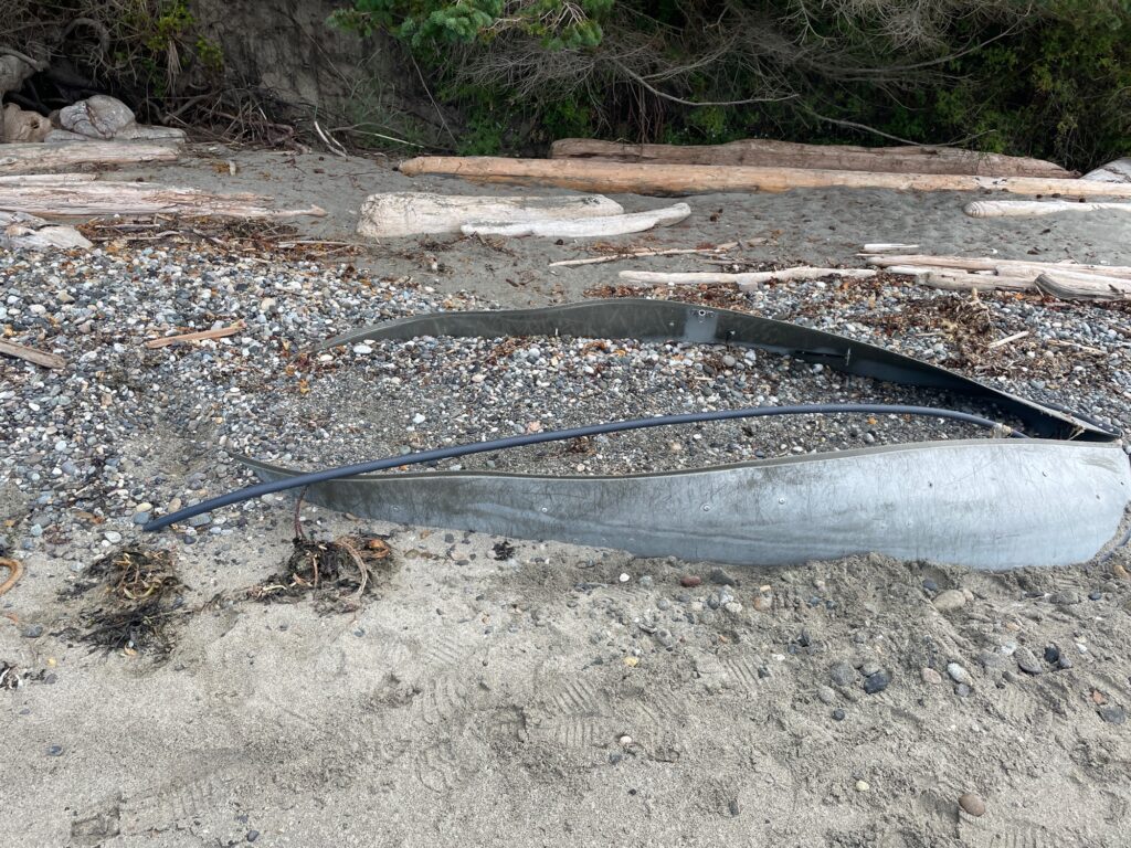 a snake on the ground (MyCoast AI)