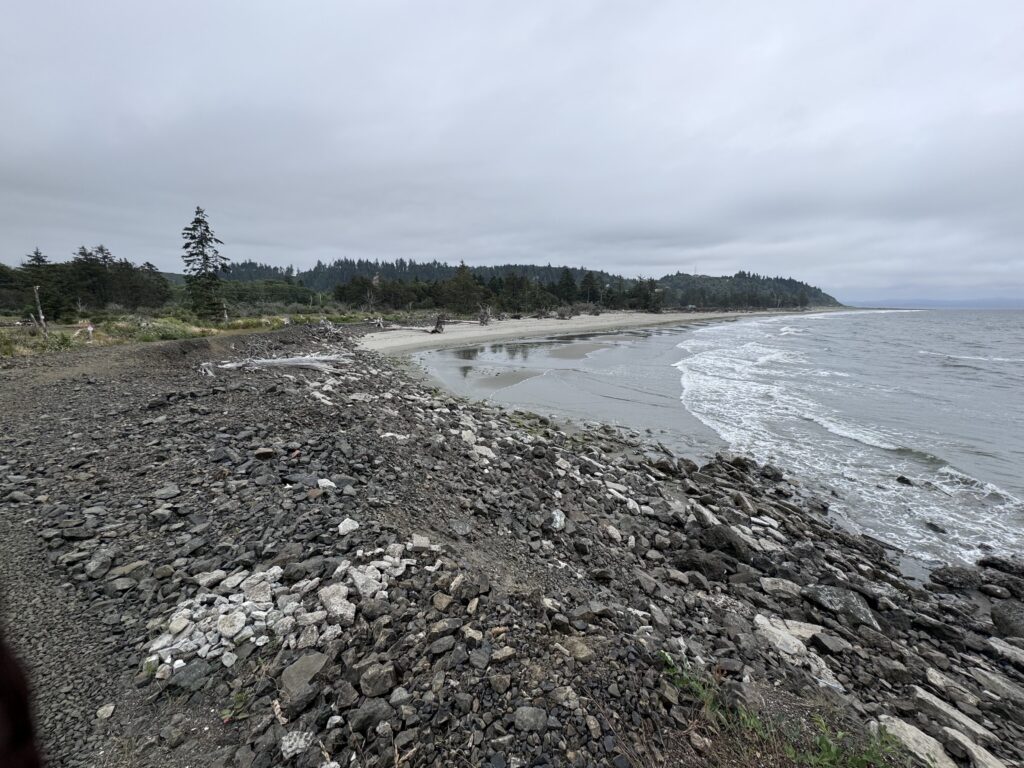 a rocky beach with trees and water (MyCoast AI)