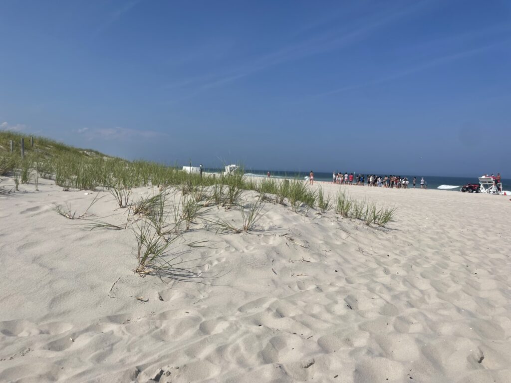 a sandy beach with people walking on it (MyCoast AI)