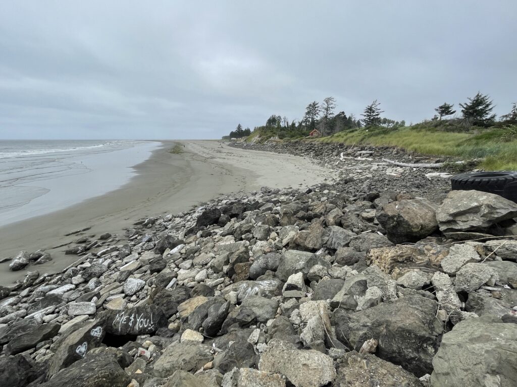 a rocky beach with trees and water (MyCoast AI)